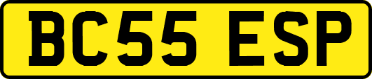BC55ESP