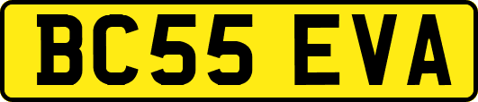 BC55EVA