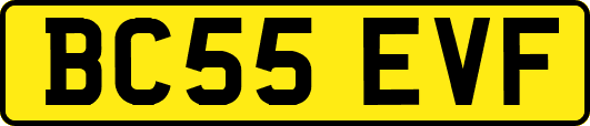 BC55EVF