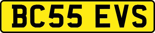 BC55EVS
