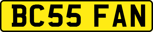 BC55FAN