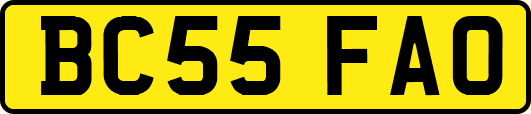 BC55FAO