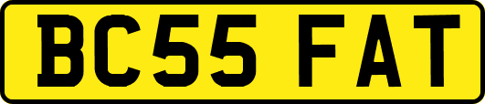 BC55FAT