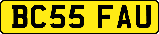 BC55FAU
