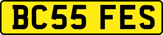 BC55FES