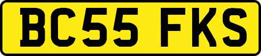 BC55FKS