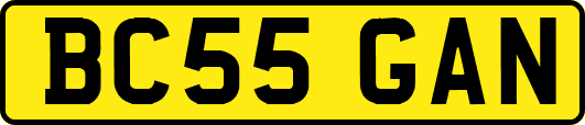 BC55GAN