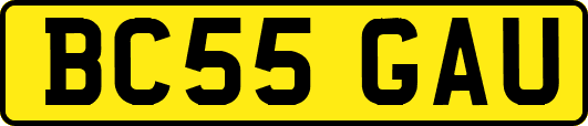 BC55GAU