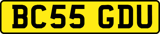 BC55GDU