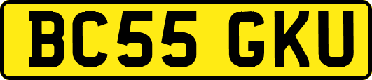 BC55GKU