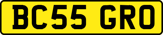 BC55GRO