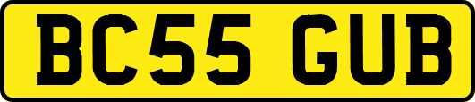 BC55GUB