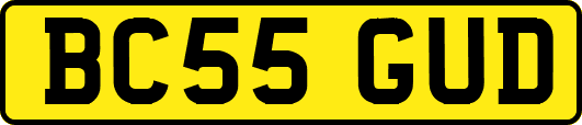 BC55GUD