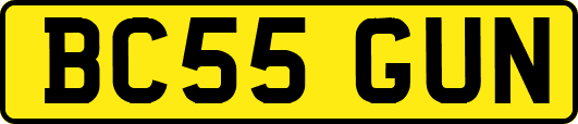 BC55GUN