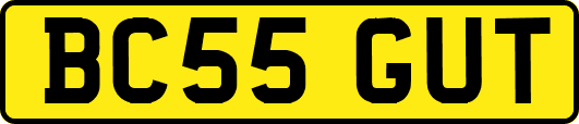 BC55GUT