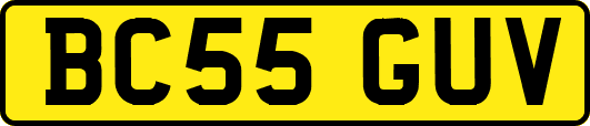 BC55GUV