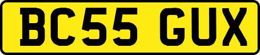 BC55GUX