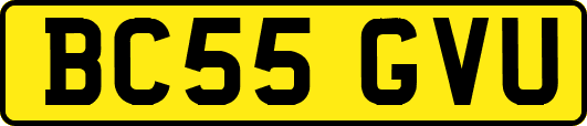 BC55GVU