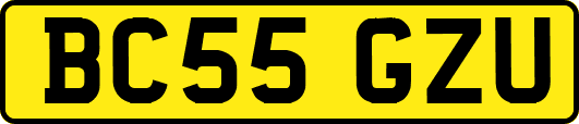 BC55GZU