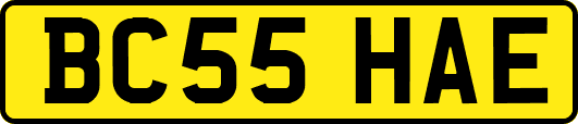 BC55HAE