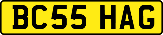 BC55HAG