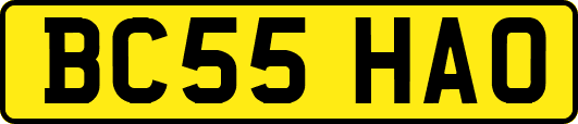 BC55HAO