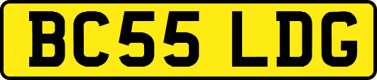BC55LDG