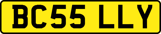 BC55LLY