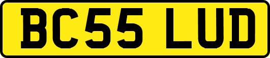 BC55LUD