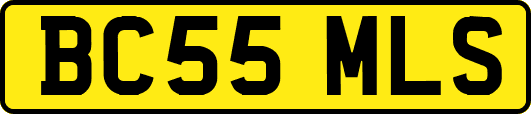 BC55MLS