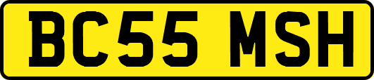 BC55MSH