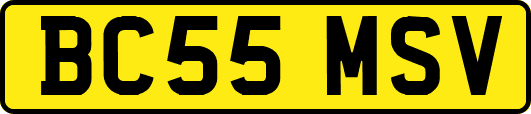 BC55MSV