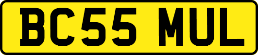 BC55MUL