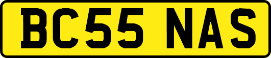 BC55NAS