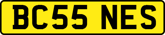 BC55NES