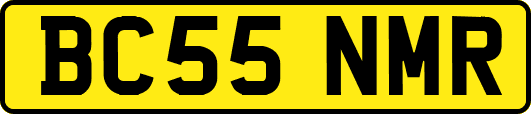 BC55NMR