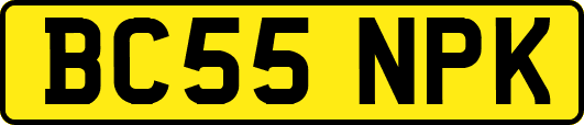 BC55NPK