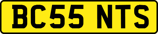 BC55NTS