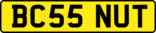BC55NUT