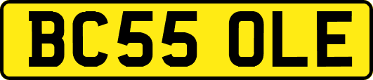 BC55OLE