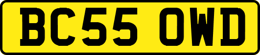 BC55OWD
