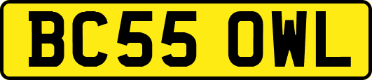BC55OWL