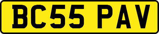 BC55PAV