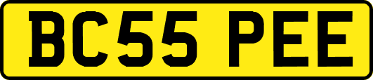 BC55PEE