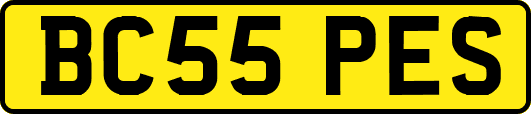BC55PES