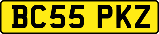 BC55PKZ