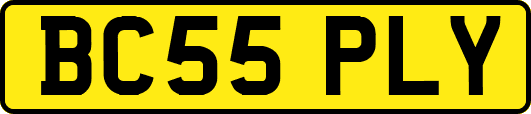 BC55PLY