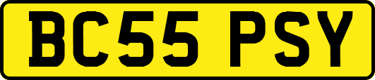 BC55PSY