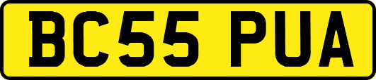 BC55PUA