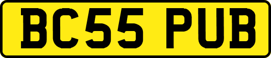 BC55PUB